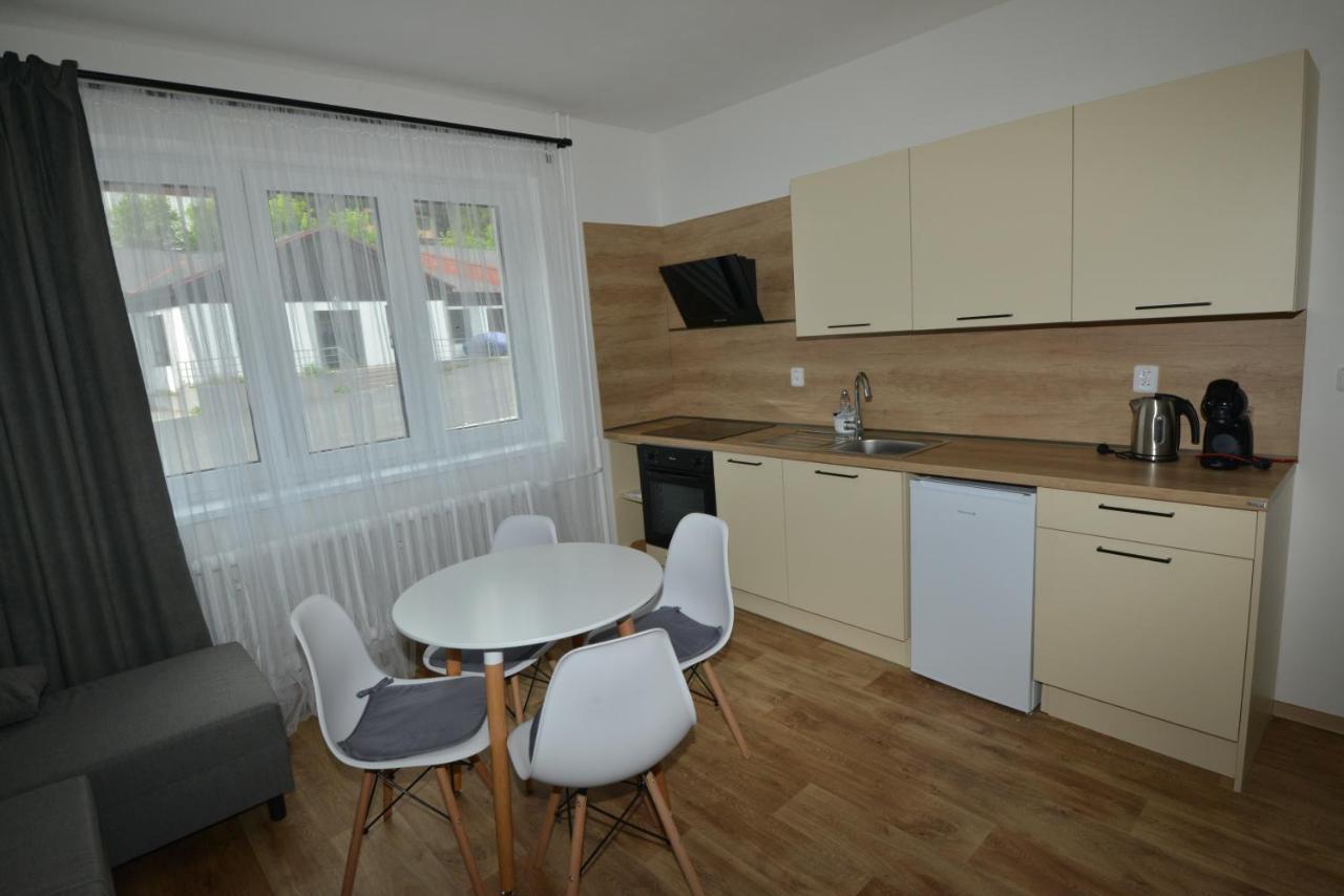 Apartmany U Peslu Železná Ruda Zewnętrze zdjęcie