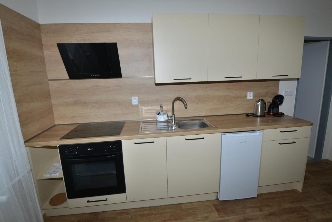 Apartmany U Peslu Železná Ruda Zewnętrze zdjęcie