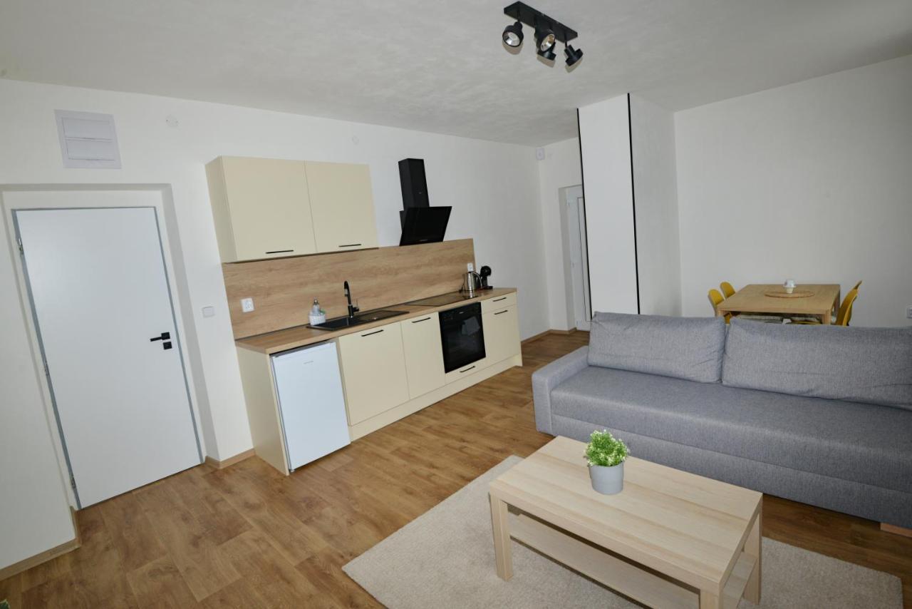 Apartmany U Peslu Železná Ruda Zewnętrze zdjęcie