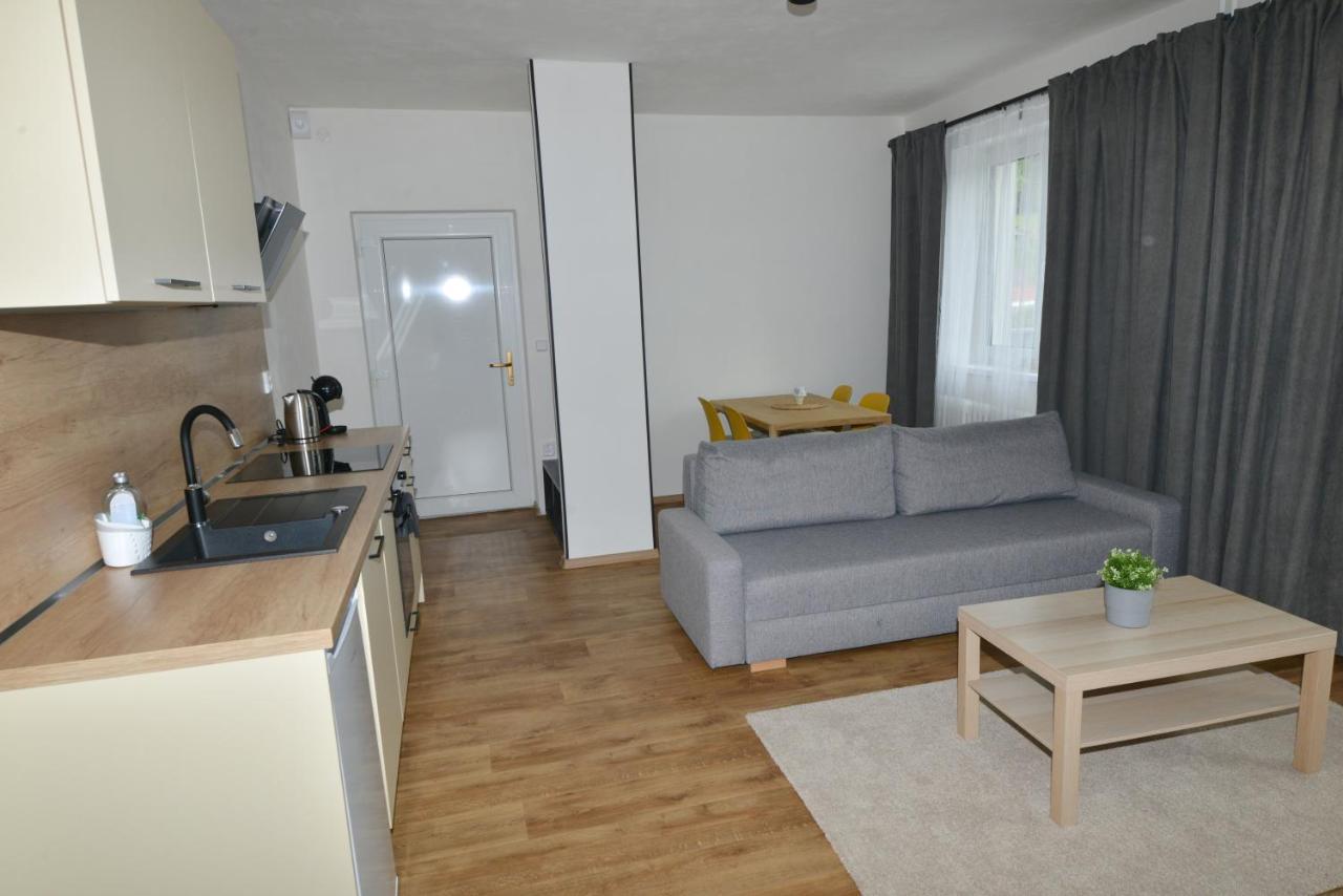 Apartmany U Peslu Železná Ruda Zewnętrze zdjęcie